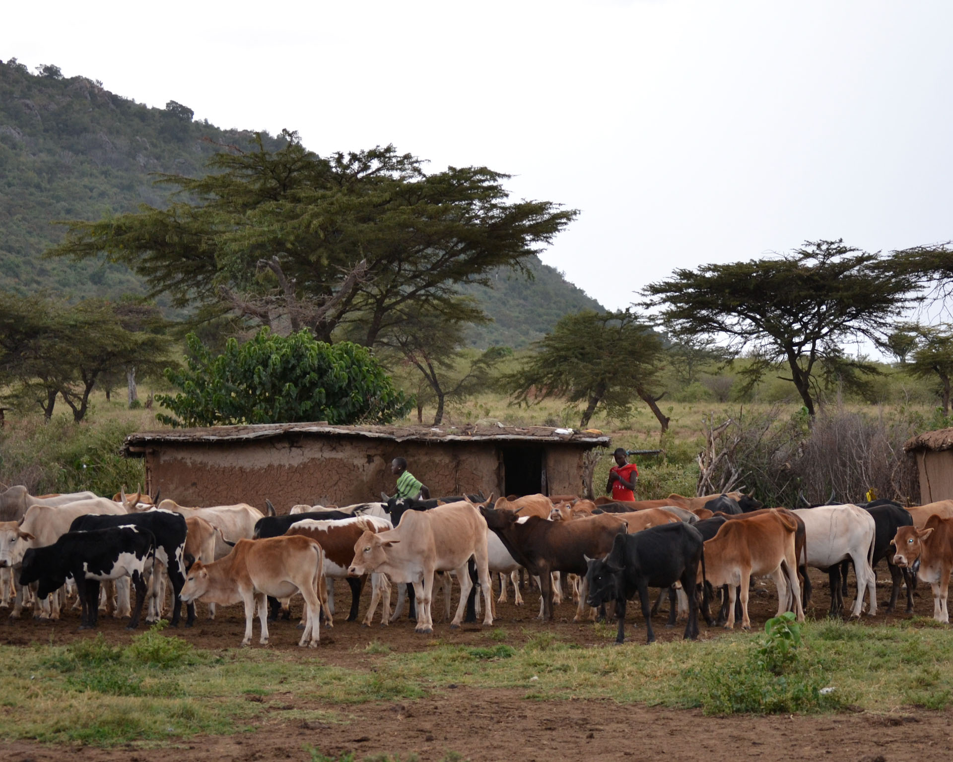 Tanzania Cultural Heritage