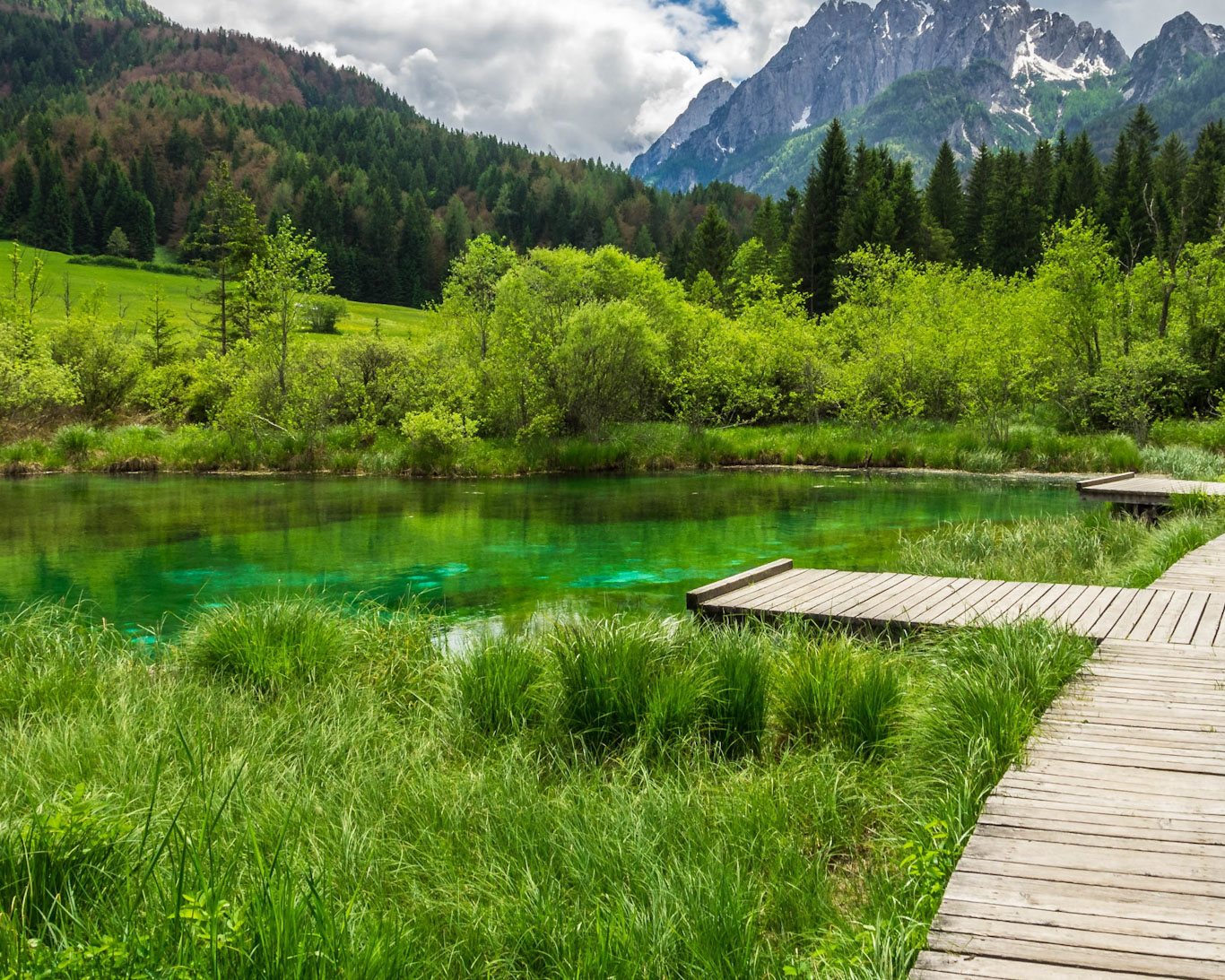 Wildlife and Nature of Slovenia